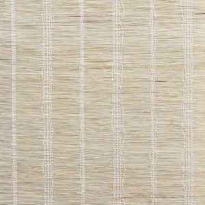 Shizen Dawn JJ101