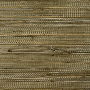 Tivoli Olive JB252